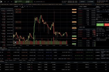 dmex.app:-the-first-decentralized-exchange-to-offer-cross-margin-positions