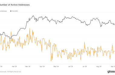 bitcoin’s-active-address-volatility-highlights-user-engagement-beyond-price-cycles