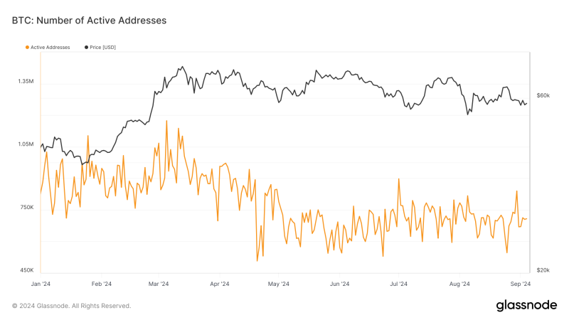 bitcoin’s-active-address-volatility-highlights-user-engagement-beyond-price-cycles
