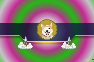 this-shiba-inu-rival-explodes-by-250%-in-a-week:-here’s-why