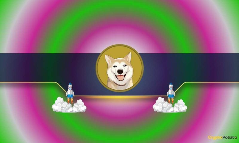 this-shiba-inu-rival-explodes-by-250%-in-a-week:-here’s-why