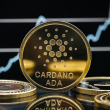 cardano-(ada)-on-the-spot-amid-mysterious-transactions-as-ecosystem-registers-growth