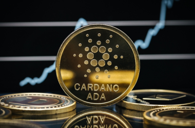 cardano-(ada)-on-the-spot-amid-mysterious-transactions-as-ecosystem-registers-growth