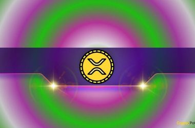 xrp-price-surge-on-the-horizon?-this-vital-ripple-metric-suggests-so