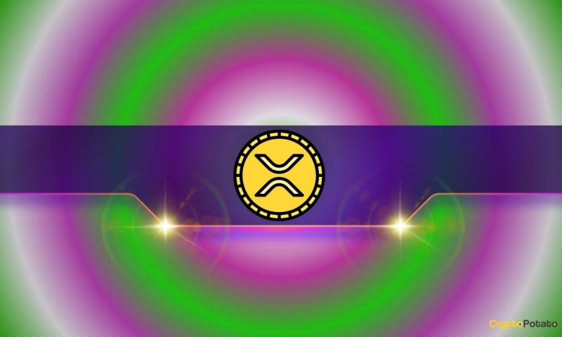 xrp-price-surge-on-the-horizon?-this-vital-ripple-metric-suggests-so