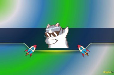 meme-coin-revival-as-these-cat-themed-tokens-lead-the-rally:-details