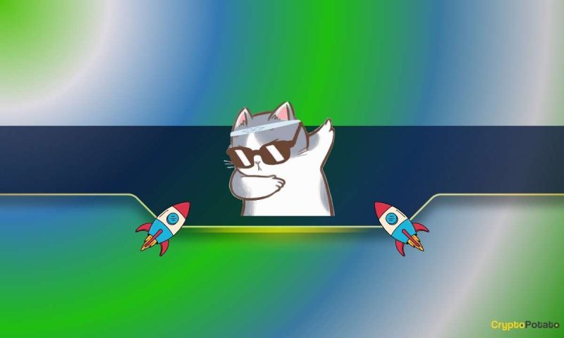 meme-coin-revival-as-these-cat-themed-tokens-lead-the-rally:-details