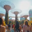 singapore-probes-illegal-trading-of-worldcoin-accounts-and-tokens