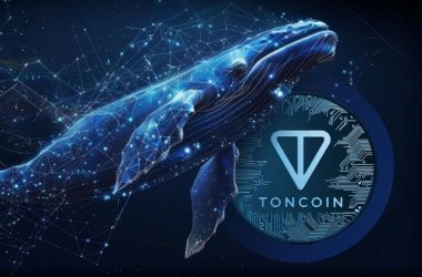 toncoin-whales-dump-millions-in-ton-to-pick-up-under-the-radar-ethereum-token-at-$0.03,-but-why?