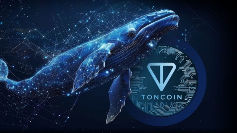 toncoin-whales-dump-millions-in-ton-to-pick-up-under-the-radar-ethereum-token-at-$0.03,-but-why?