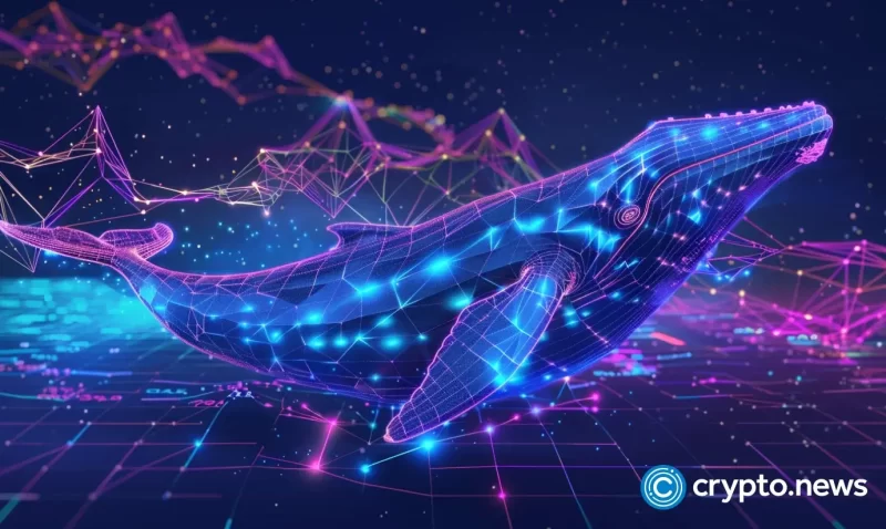 dtx-exchange’s-hybrid-blockchain-debut-crosses-$2.5m-after-bnb,-ftm-whales-join
