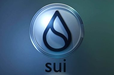 grayscale-introduces-grayscale-sui-trust,-boosting-sui-price