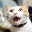 popcat-surges-as-kraken-announces-trading-support