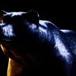 is-dogwifhat-(wif)-the-“most-bearish”-of-all-major-meme-coins?