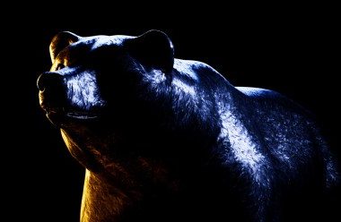 is-dogwifhat-(wif)-the-“most-bearish”-of-all-major-meme-coins?