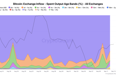 92%-of-bitcoin-exchange-inflows-come-from-short-term-holders