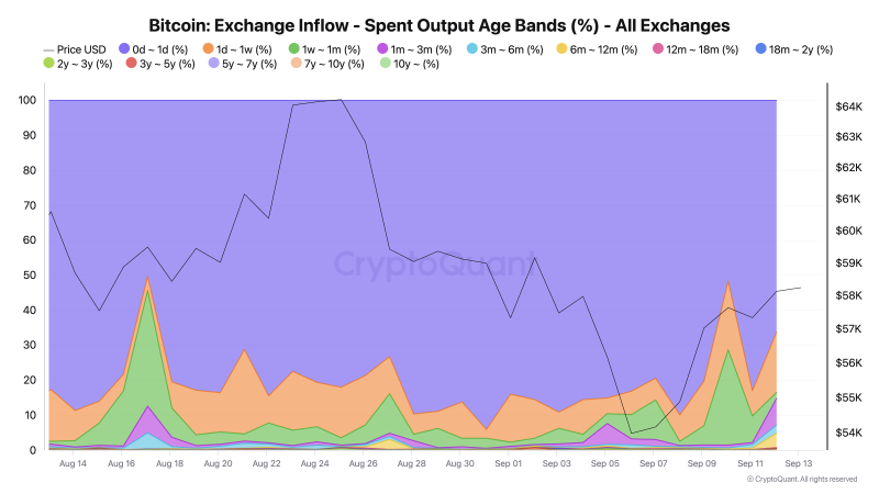 92%-of-bitcoin-exchange-inflows-come-from-short-term-holders