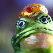 pepe-faces-potential-5%-drop,-eyes-key-support-level retest
