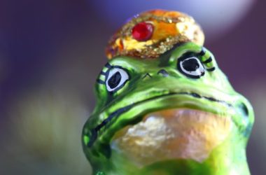 pepe-faces-potential-5%-drop,-eyes-key-support-level retest