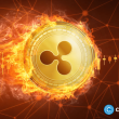 ripple’s-chris-larsen-leads-$10m-investment-in-yellow-network