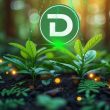 gemini-predicts-this-listing-date-for-dtx-exchange;-wld-and-shib-investments-may-be-riskier-than-you-think