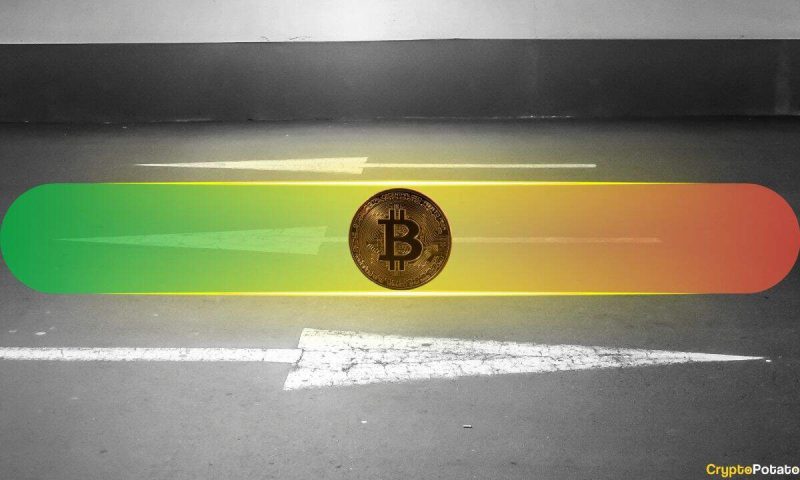 spot-buying-drives-btc-rally-as-market-awaits-fed-rate-cut:-bitfinex