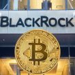 blackrock-ceo-says-bitcoin-is-an-opportunity:-bullish-for-bitcoin-dogs?