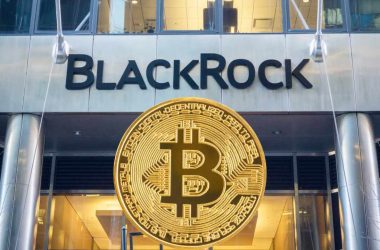 blackrock-ceo-says-bitcoin-is-an-opportunity:-bullish-for-bitcoin-dogs?