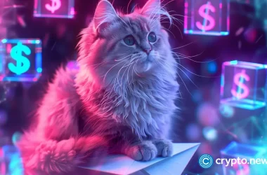 loom-network,-ontology,-simon’s-cat-lead-as-bitcoin-stalls