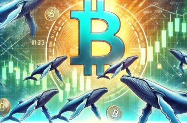 bitcoin-whales-take-profit-after-latest-price-jump-—-here’s-how-much-they-sold