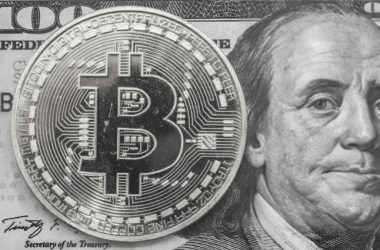 a-beginner’s-guide-to-crypto-insurance