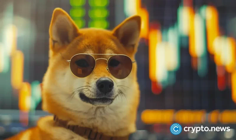 babydoge-surges-120%-in-10-days,-further-gains-or-correction-ahead?