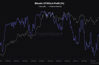 bitcoin-holders-in-profit-soar-to-84%-as-bitcoin-solidifies-position-above-$63k