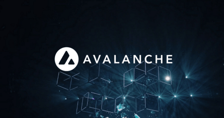 avalanche-(avax)-25%-surge-fueled-by-new-initiatives-to-support-developers