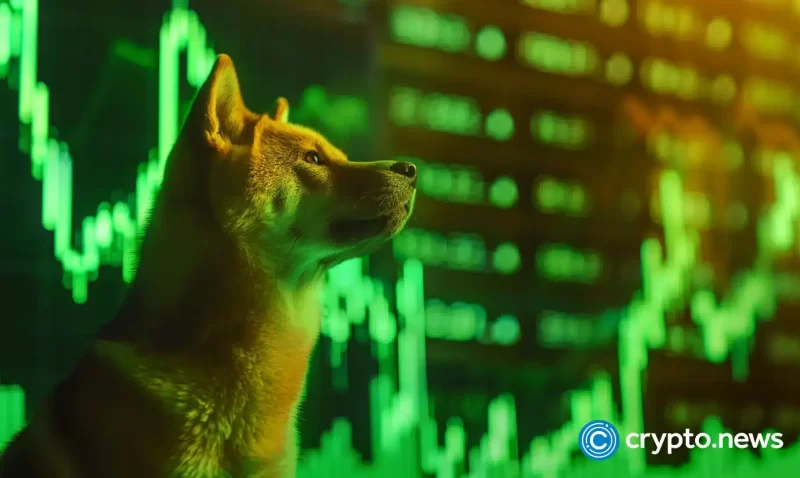 memebet-token-benefits-from-shiba-inu-rally-as-it-raises-$300k-in-presale