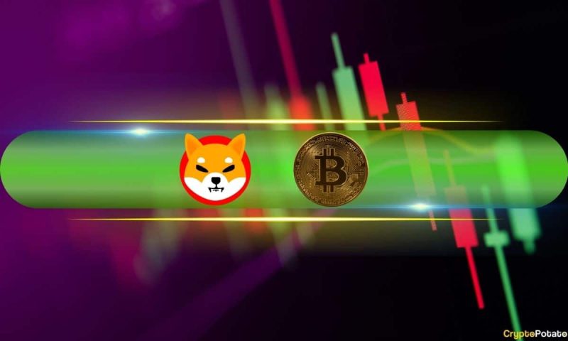 shiba-inu’s-(shib)-price-shot-up-to-3-month-high,-bitcoin-(btc)-touched-$66.5k-(weekend-watch)