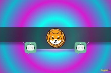 can-shiba-inu-(shib)-erase-a-0-from-its-price-before-the-end-of-2024?-(chatgpt-analyzes)