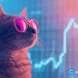 moo-deng-spikes-as-fomo-pushes-holders-to-a-record-high