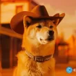 shiba-inu-steady-as-cex-outflows-and-whale-activity-rise