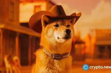 shiba-inu-steady-as-cex-outflows-and-whale-activity-rise
