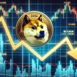 dogecoin-(doge)-falls-to-support:-can-it-avoid-a-breakdown?
