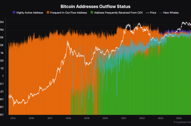 ten-years-of-bitcoin-address-data-uncovers-investor-behaviors-and-market-shifts