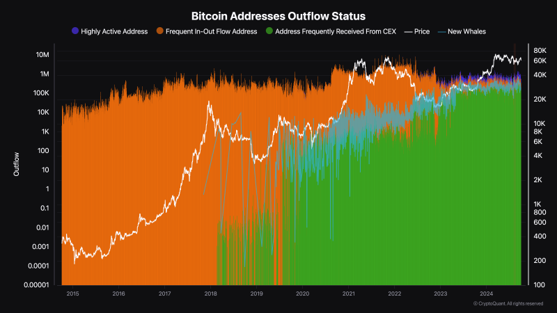 ten-years-of-bitcoin-address-data-uncovers-investor-behaviors-and-market-shifts