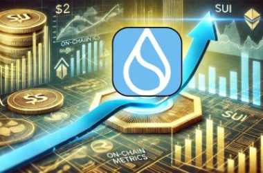 can-sui-break-past-$2-resistance?-on-chain-metrics-reveal-growing-demand