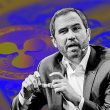 ripple-execs-slam-sec-decision-to-appeal-xrp-ruling