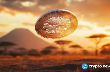 chainalysis:-stablecoins-represent-40%-of-crypto-economy-in-sub-saharan-africa