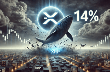 xrp-crashes-14%-as-whales-send-deposits-to-exchanges