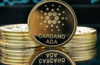 dogecoin-days-at-the-top-numbered?-cardano-set-to-take-over-—-analyst