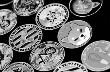 what-are-the-different-types-of-crypto?