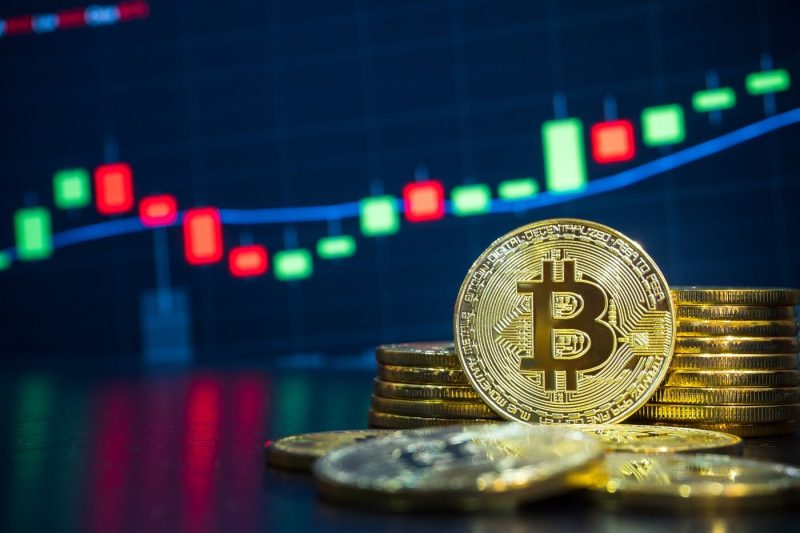 2024-saw-crypto-markets-dramatically-mature